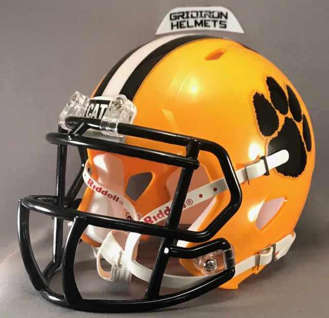 Valdosta Wildcats HS 2000-2015 (GA)